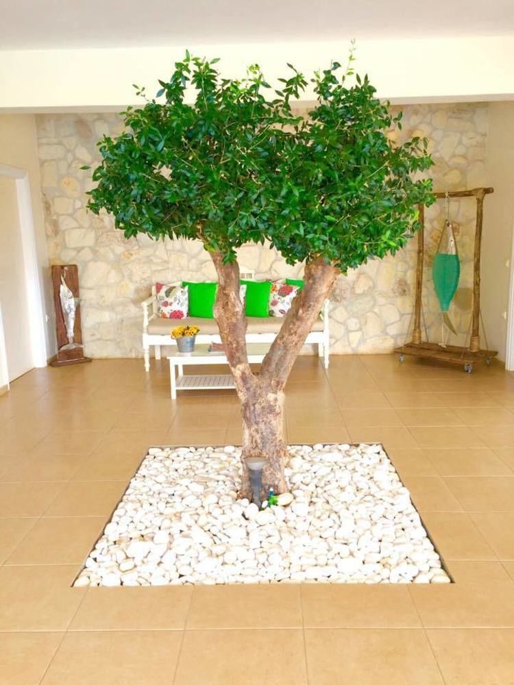 Ammos Boutique Apartments & Suites Malia Exteriér fotografie