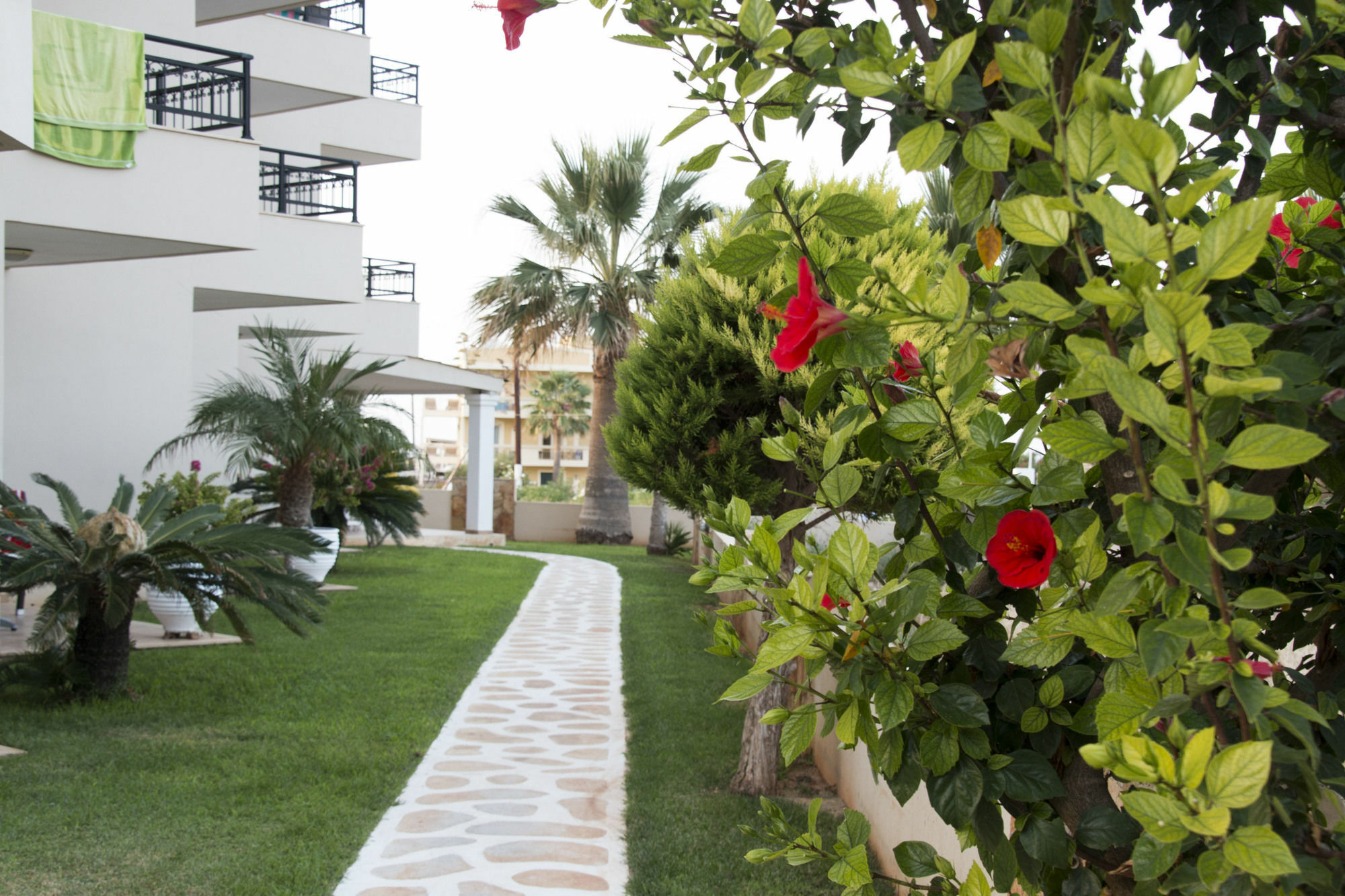 Ammos Boutique Apartments & Suites Malia Exteriér fotografie